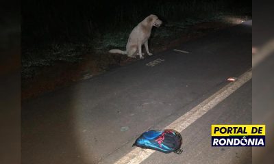 Jovem morre atropelado na BR-319 e cachorro fica ao lado do corpo até a chegada da PRF