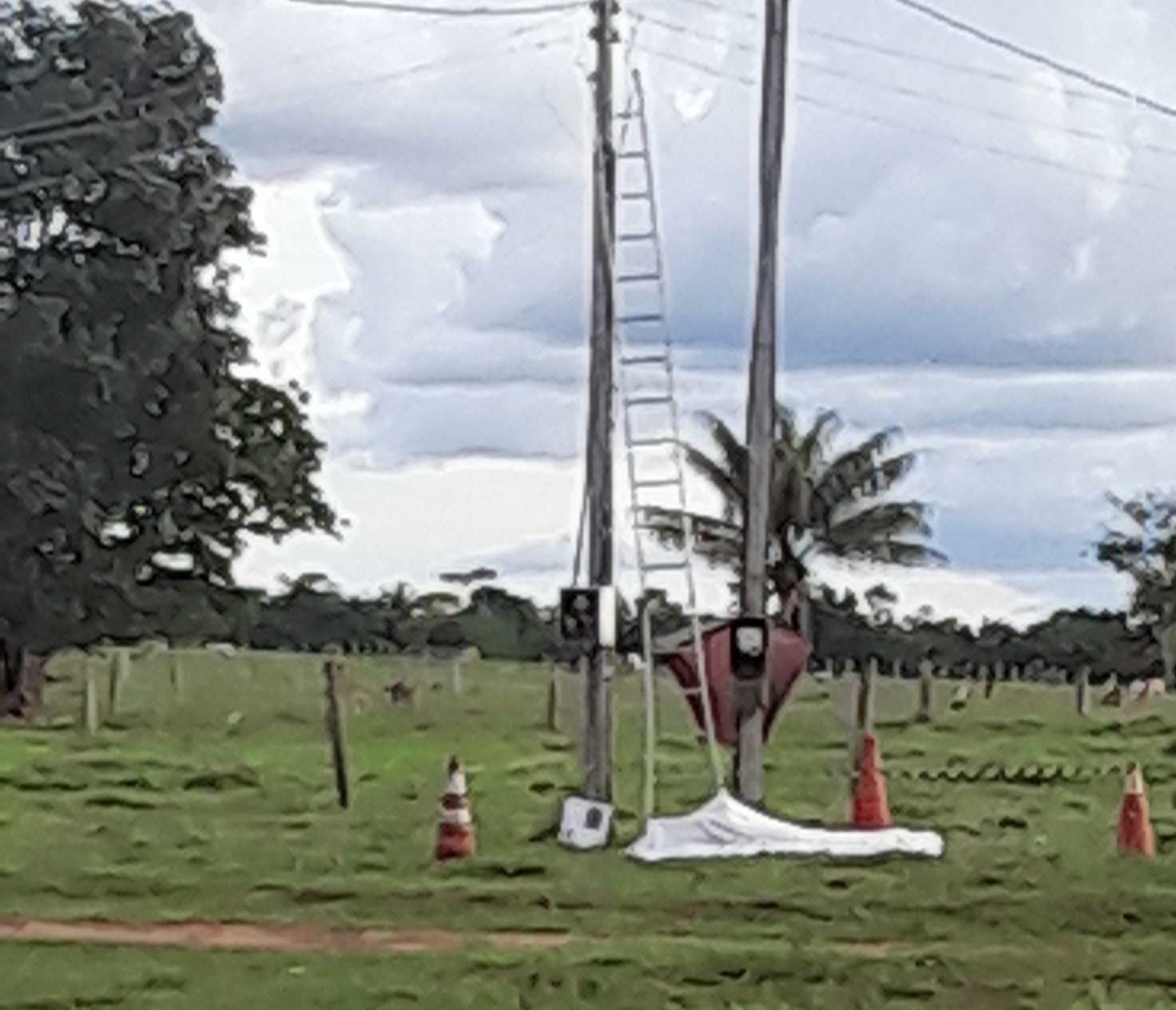 Homem morre eletrocutado durante trabalho em rede elétrica, em Rondônia