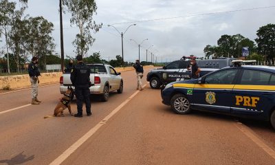 Com apoio de cão farejador, PRF e Polícia Civil realizam blitz na BR-364