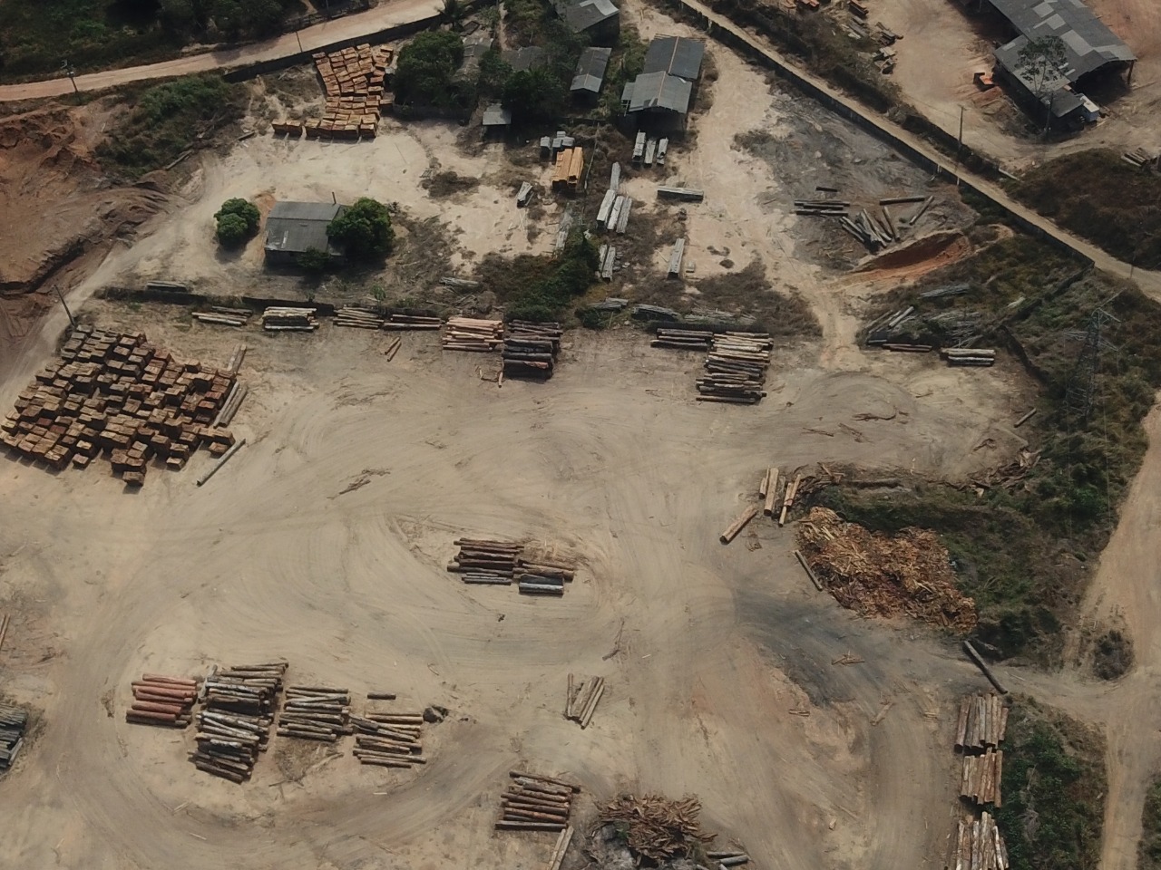PF realiza operação contra comercialização de madeira ilegal de terra indígena em Rondônia