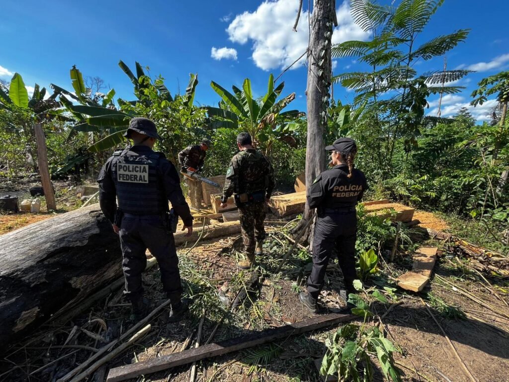 WhatsApp-Image-2025-12-10-at-14.02.36-1-1024x768 Polícia Federal investiga invasores por loteamento ilegal e ataque a família indígena