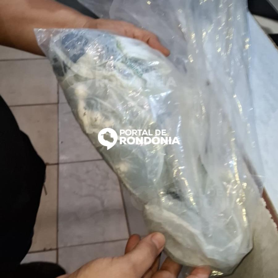 image-110 Dupla é flagrada com maconha e cocaína ao tentar entrar no Presídio 470